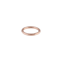 Rose Gold Hinged Ring - link has visual effect only