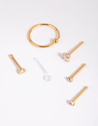 Gold Surgical Steel Mix Stud Ring Nose 6-Pack - link has visual effect only