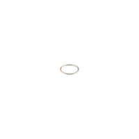 Surgical Steel Thin Clicker Earring - link has visual effect only
