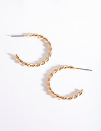 Gold Twisted Hoop Earrings - link has visual effect only