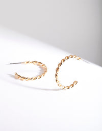 Gold Twisted Hoop Earrings - link has visual effect only