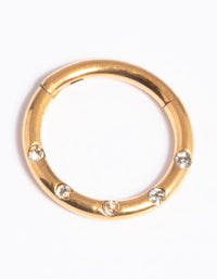 Gold Plated Titanium Clicker Ring - link has visual effect only