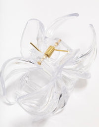 Clear Transparent Tropical Hair Claw Clip - link has visual effect only