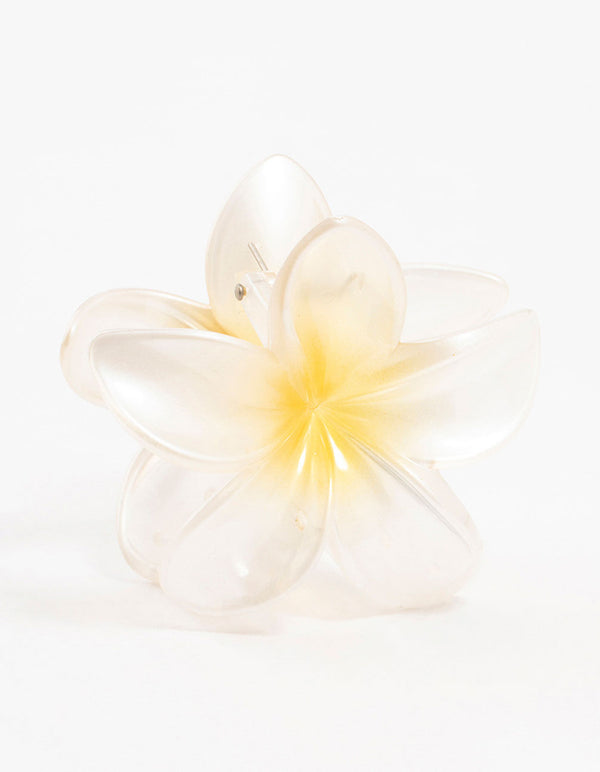 Ombre Plastic Frangipani Claw Clip