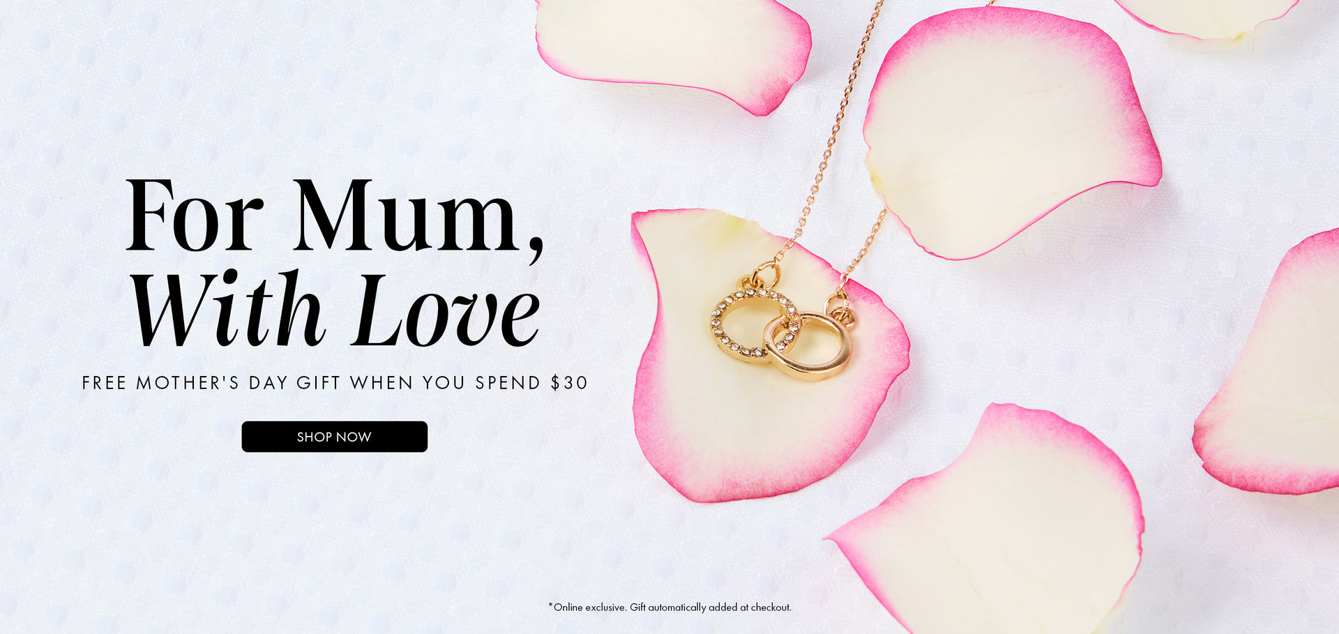 Decorative Homepage Banner